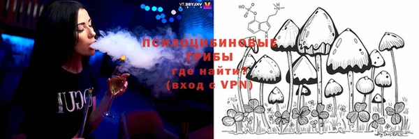 хмурый Абинск