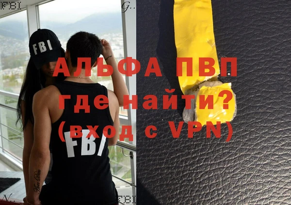 Альфа ПВП Белая Холуница